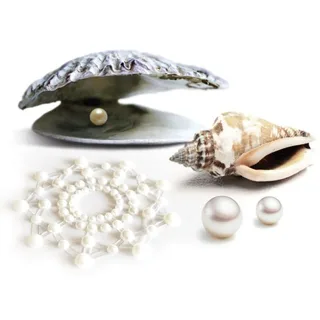 Lingerie Bijoux Indiscrets