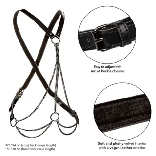 Bdsm Calexotics