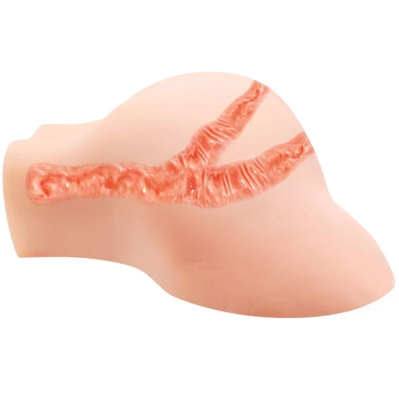 Vagin et Anus avec Maille Réaliste avec Vibration Crazy Bull, autre vue
