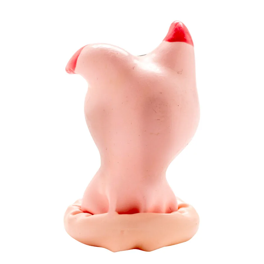 Préservatifs Fantaisie Peints à la Main Tête de Cochon Condomerie