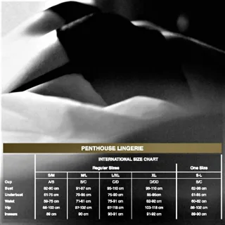 Lingerie Penthouse taille L/XL