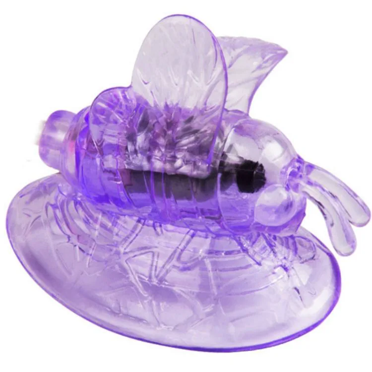 Stimulateur clitoridien Papillon Vibrant de Stimulation Clitoris Lilas Baile