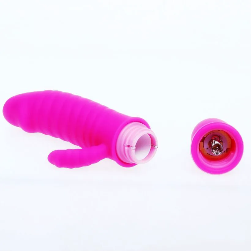 Stimulateur clitoridien Vibromasseur Arnd Pretty Love