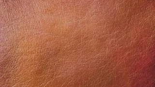 Cuir lisse aux reflets fauves et rouges, en gros plan