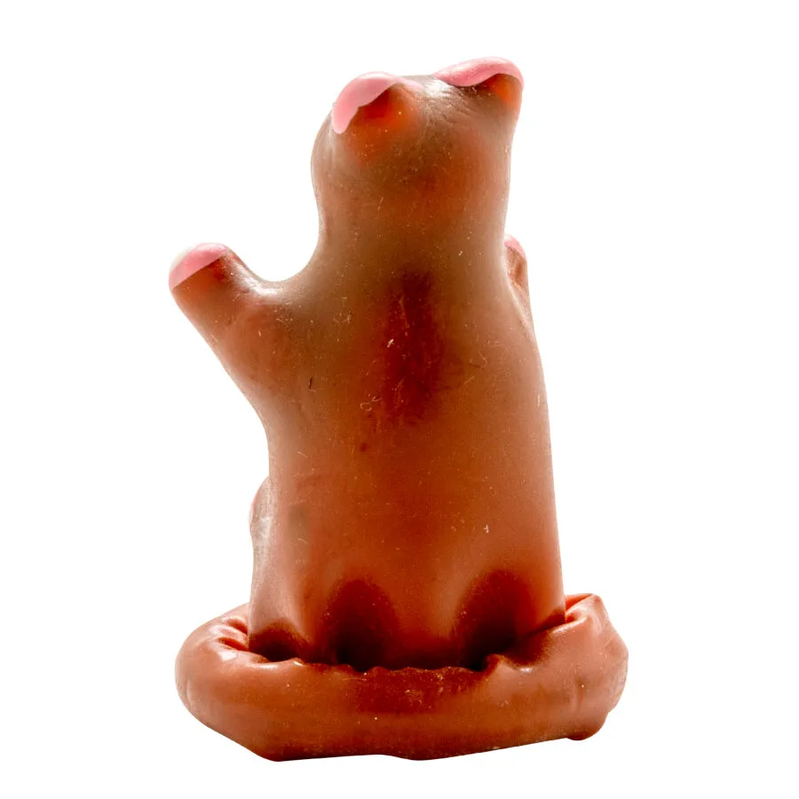 Préservatifs Fantaisie Peints à la Main Ours en Peluche Condomerie