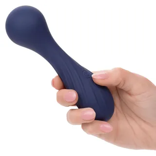 Vibromasseur Wand Charisma Temptation Calexotics vue 6