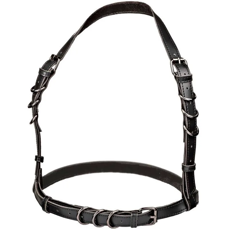 Gode Euphoria Harnais Boucle Licol Noir Calexotics