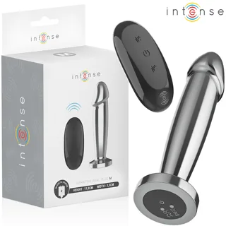 Plug Anal 10 Vibrations Gode Métallique avec Télécommande Intense
