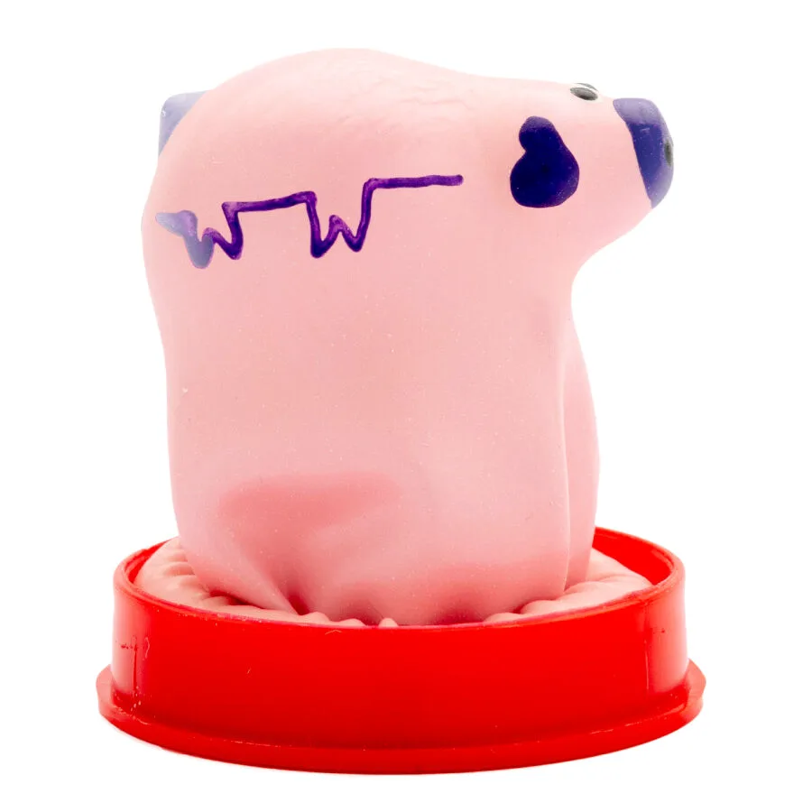 Préservatifs Fantaisie Peints à la Main Petit Cochon Condomerie