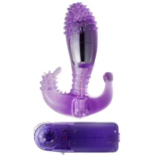 Stimulateur Vaginal et Anal Lilas avec Vibration Baile lilas sextoy anal