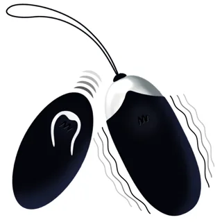 Oeuf Vibrant Flippy II avec Télécommande Noir Intense