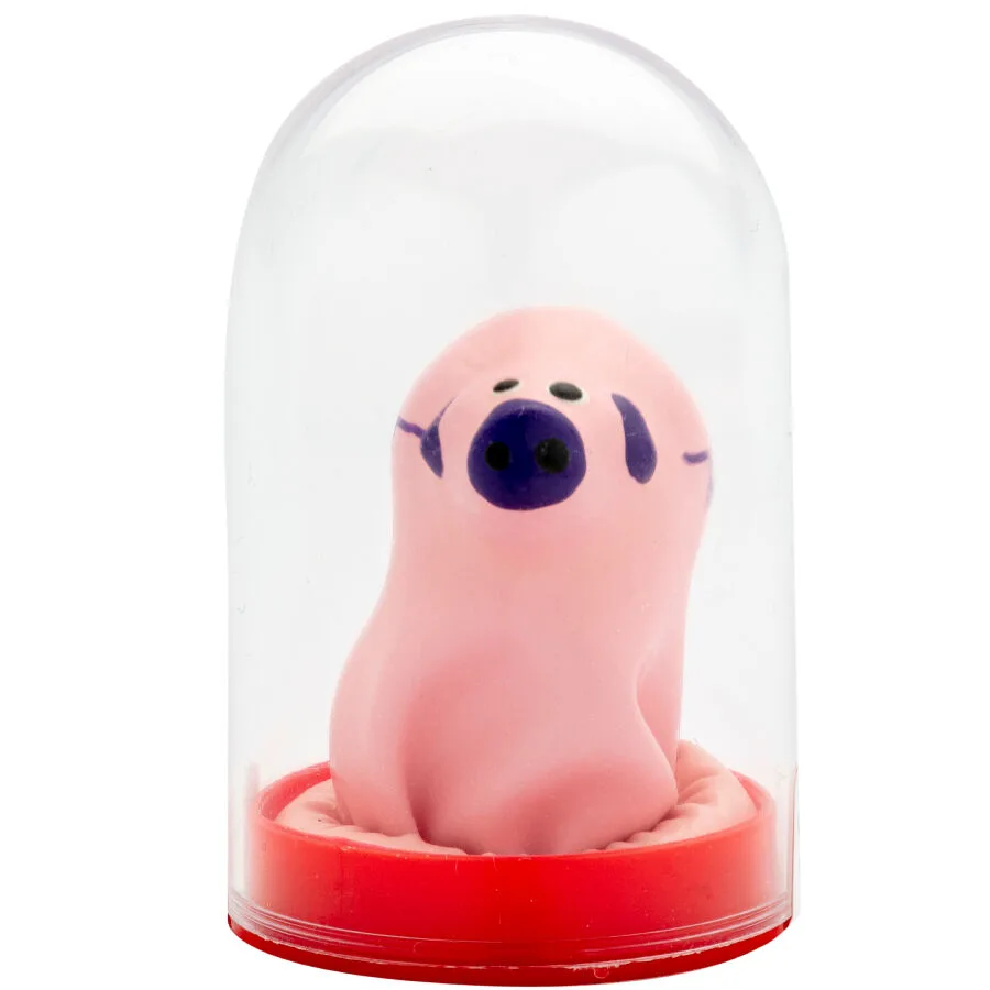Préservatifs Fantaisie Peints à la Main Petit Cochon Condomerie