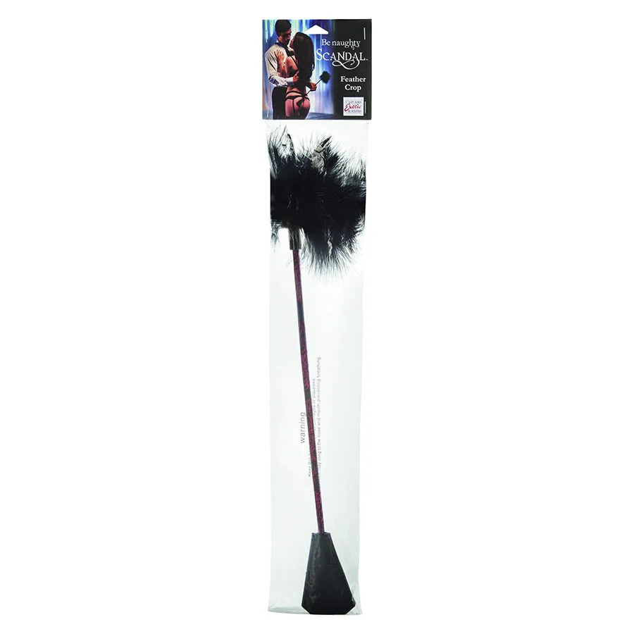 Scandal Fouet à Plumes Noires Calexotics fouet & martinet