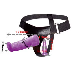 Gode Harnais Anal et Vaginal Femme Lilas Gpoint 17 cm Baile