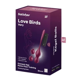 Love Birds Boules de Geisha Connectées Satisfyer vue 5