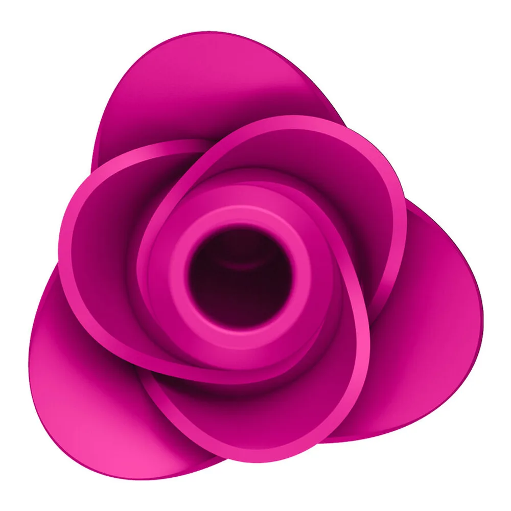 Stimulateur clitoridien Pro 2 Fleur Air Pulse Satisfyer