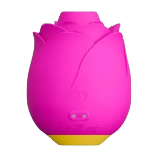 Stimulateur clitoridien Outil Succion Clitoridienne Forme vue 7