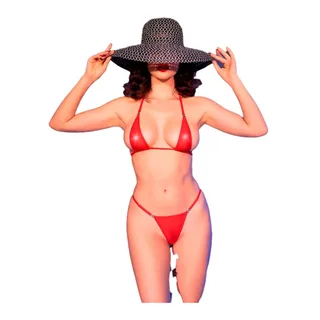 Micro Bikini Chilirose - vue de dos