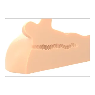 Masturbateur Pénis d'Anus Perfect Pdx Plus vue 4