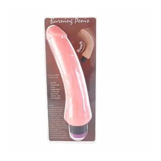 Vibromasseur Réaliste Baile vue 9