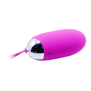 Oeuf Vibrant Berger 12V