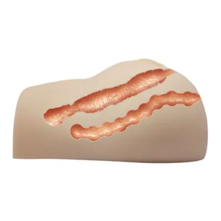 Masturbateur silicone réaliste double orifice, autre vue 4