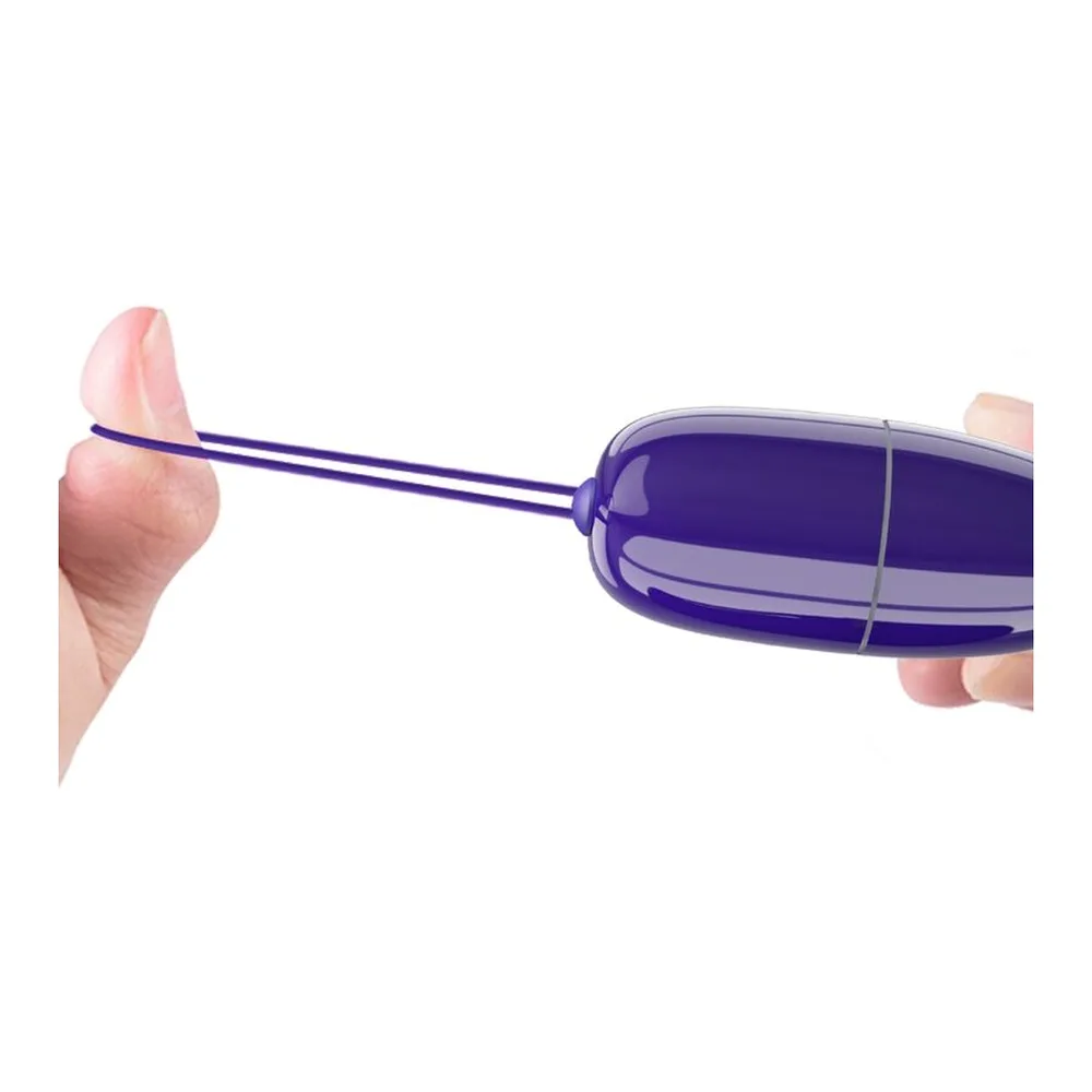 Œuf vibrant mini en silicone violet brillant avec télécommande sans fil assortie, présenté avec ses deux embouts amovibles et cordon de suspension