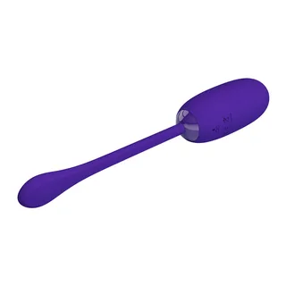 Œuf Vibrant Julius Pretty Love - accessoires fournis