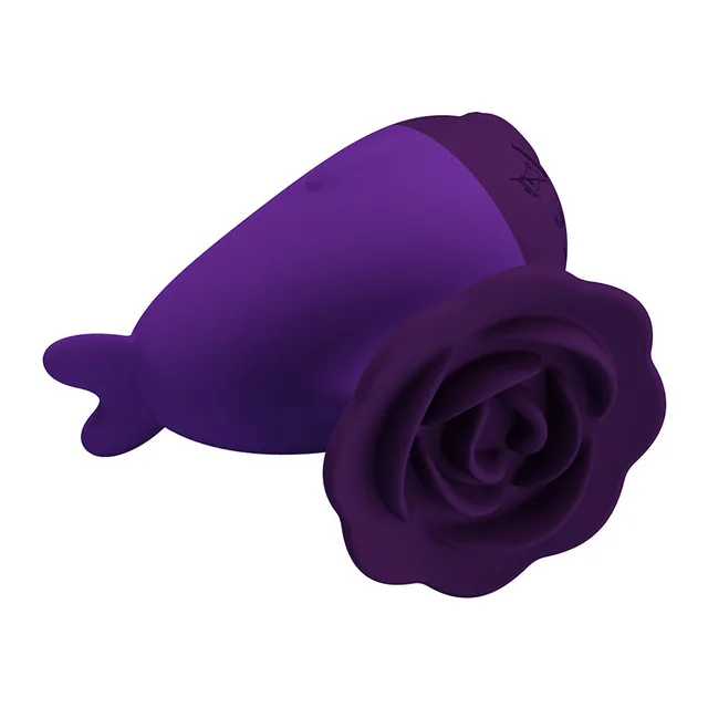 Dolphin Mini Vibrateur
