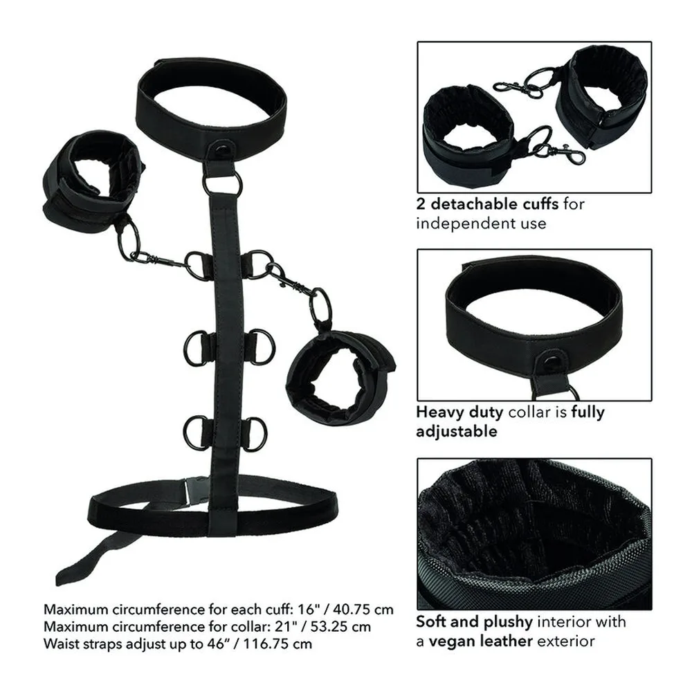 Ensemble de retenue noir composé d'un col ajustable, d'une bande centrale avec anneaux de fixation, de deux poignets détachables et de sangles ajustables, intérieur peluche et extérieur cuir vegan