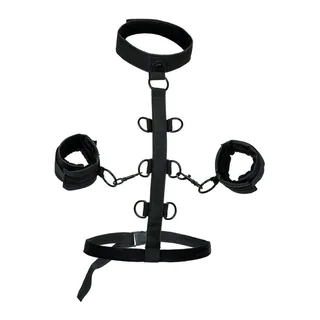Boundless Collier de Contention Calexotics