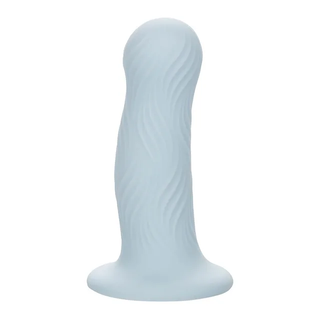 Wave Rider Plug Anal