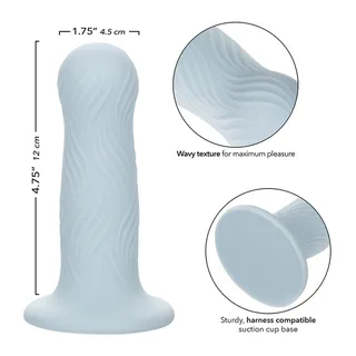 Wave Rider Plug Anal Calexotics vue 3
