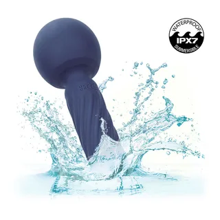 Charisma Seduction CalExotics - accessoires fournis