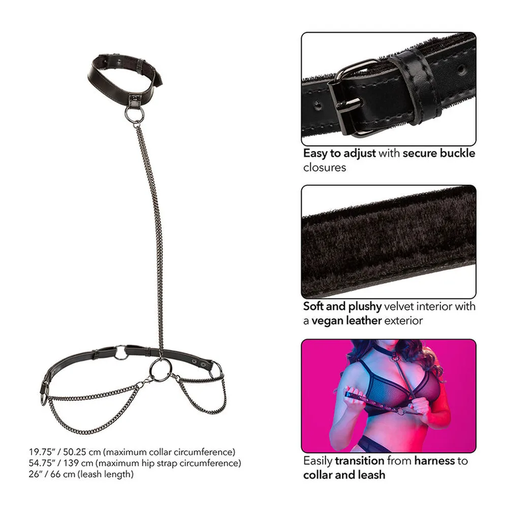 Collier et laisse noir en cuir végan avec intérieur velours, composé d'un collier à boucle ajustable, d'un harnais bas et d'une laisse chaîne, présenté avec détails des fermetures et matières