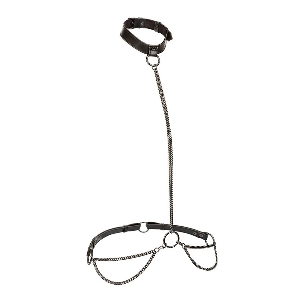 Euphoria Collier & Laisse Calexotics