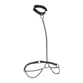 Euphoria Collier & Laisse Calexotics