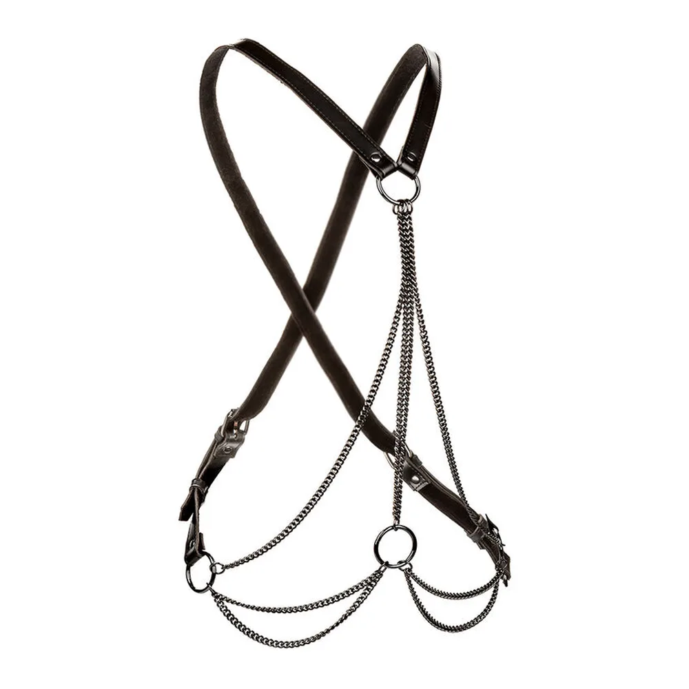 Accessoire BDSM Euphoria Harnais Multi-Chaînes CalExotics