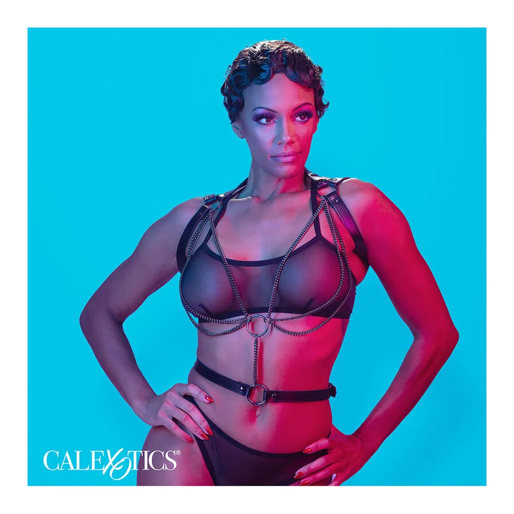 Emballage de la collection Euphoria Calexotics montrant un harnais licol en cuir végétalien noir avec chaînes métalliques, présenté sur mannequin avec éclairage bleu et rose