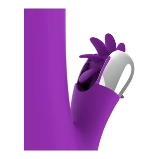 Stimulateur Clitoridien Bunny Fun Function vue 4
