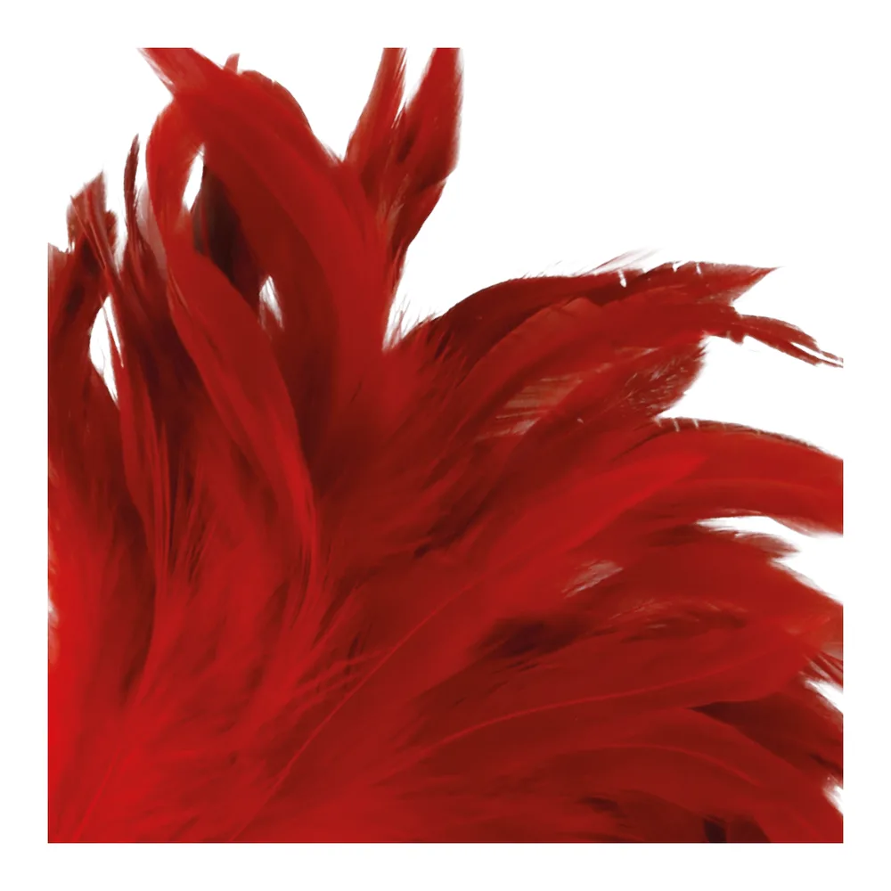 Stylo stimulant noir, manche souple, plumes, coloris Rouge, autre vue 2