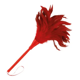 Stylo stimulant noir, manche souple, plumes, coloris Rouge, autre vue 3