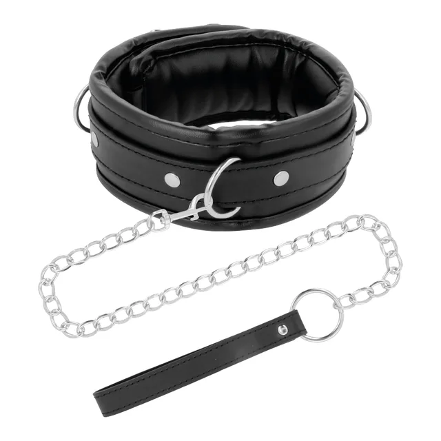Collier de Posture et Laisse