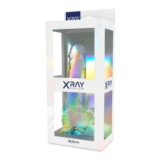 Bite Transparente Boules X Ray - avec son échelle de taille