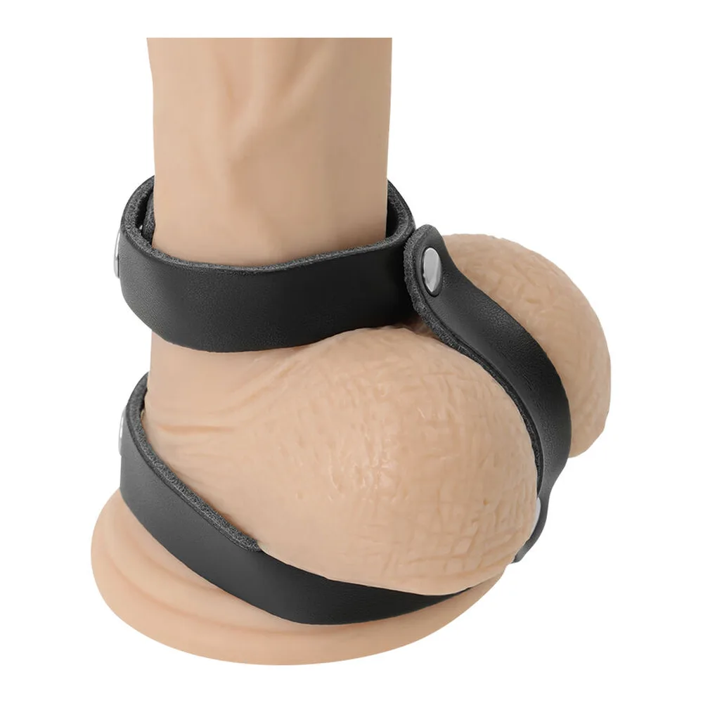 Cockring avec deux sangles noires en cuir réglable par bouton-pression, l'une pour la base du pénis et l'autre pour les testicules, sur mannequin de démonstration
