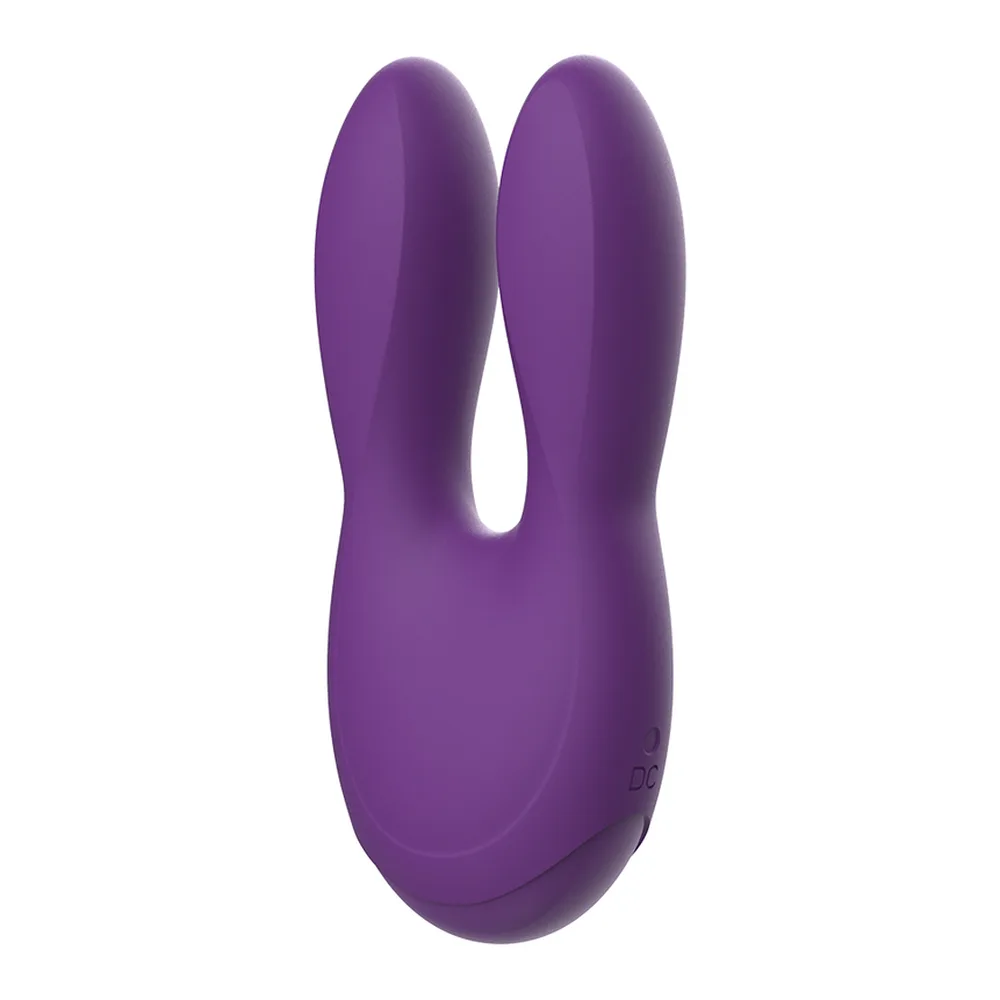 Stimulateur clitoridien violet en silicone avec deux bras flexibles et arrondis, bouton marche-arrêt visible sur le dessus, fond blanc