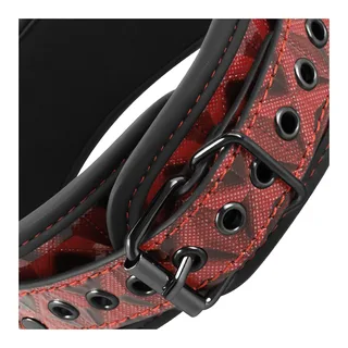 Collier et pinces à tétons simili-cuir rouge chaînes métal, autre vue 3