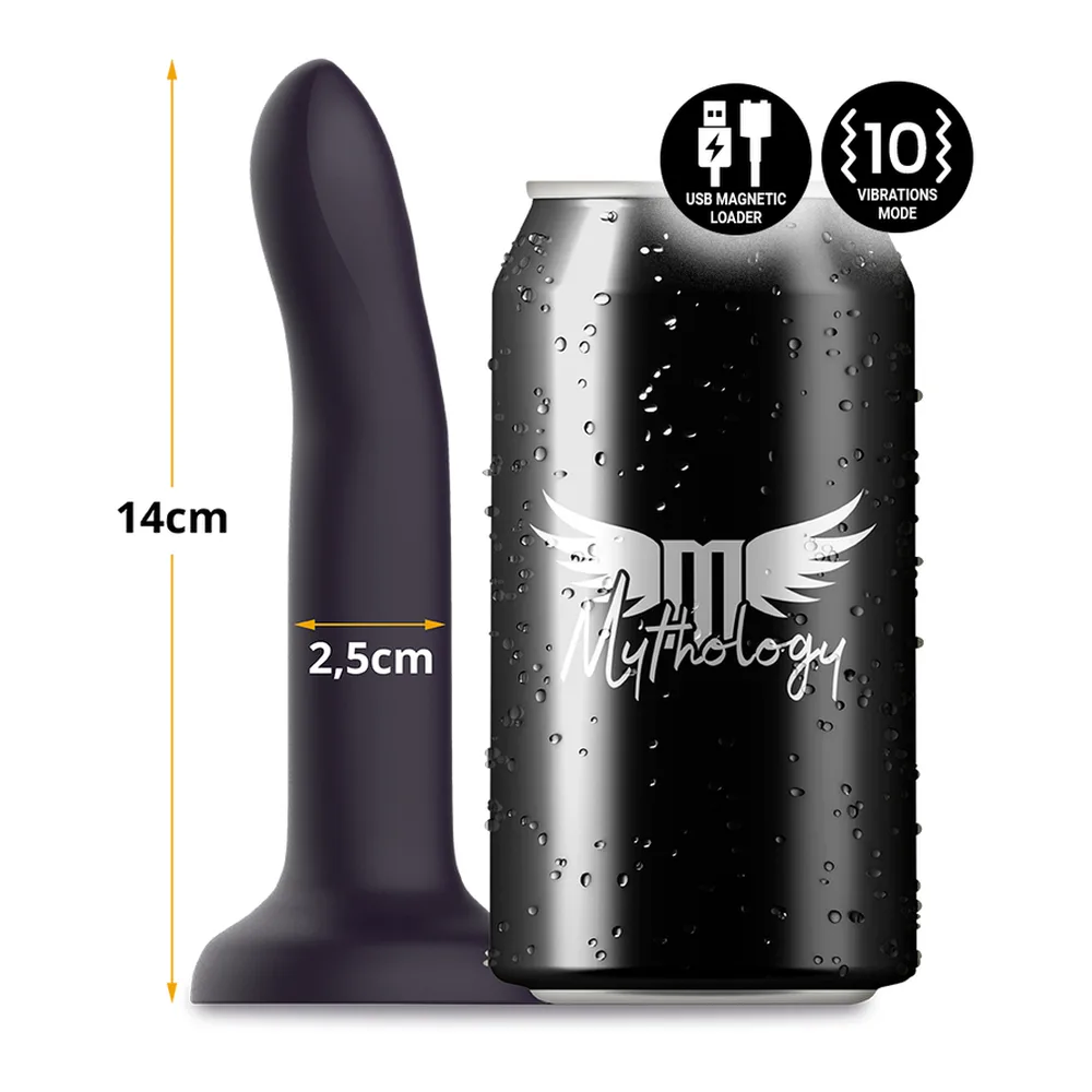 Deux godes noirs en silicone à base ventouse, vue de face et de profil, avec pictogrammes indiquant chargeur USB magnétique et 10 modes de vibration