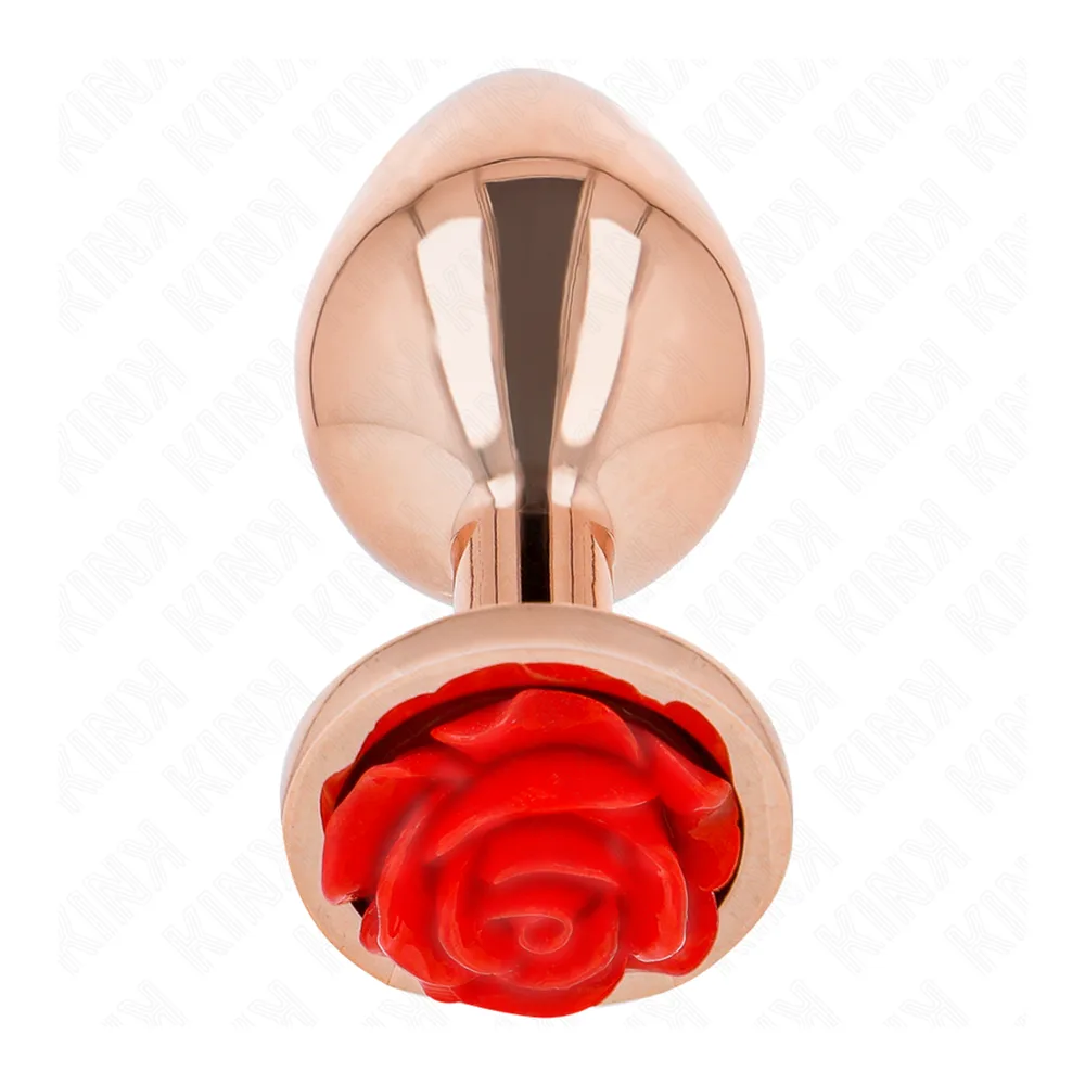 Plug Anal Or Rose Kink vue 3