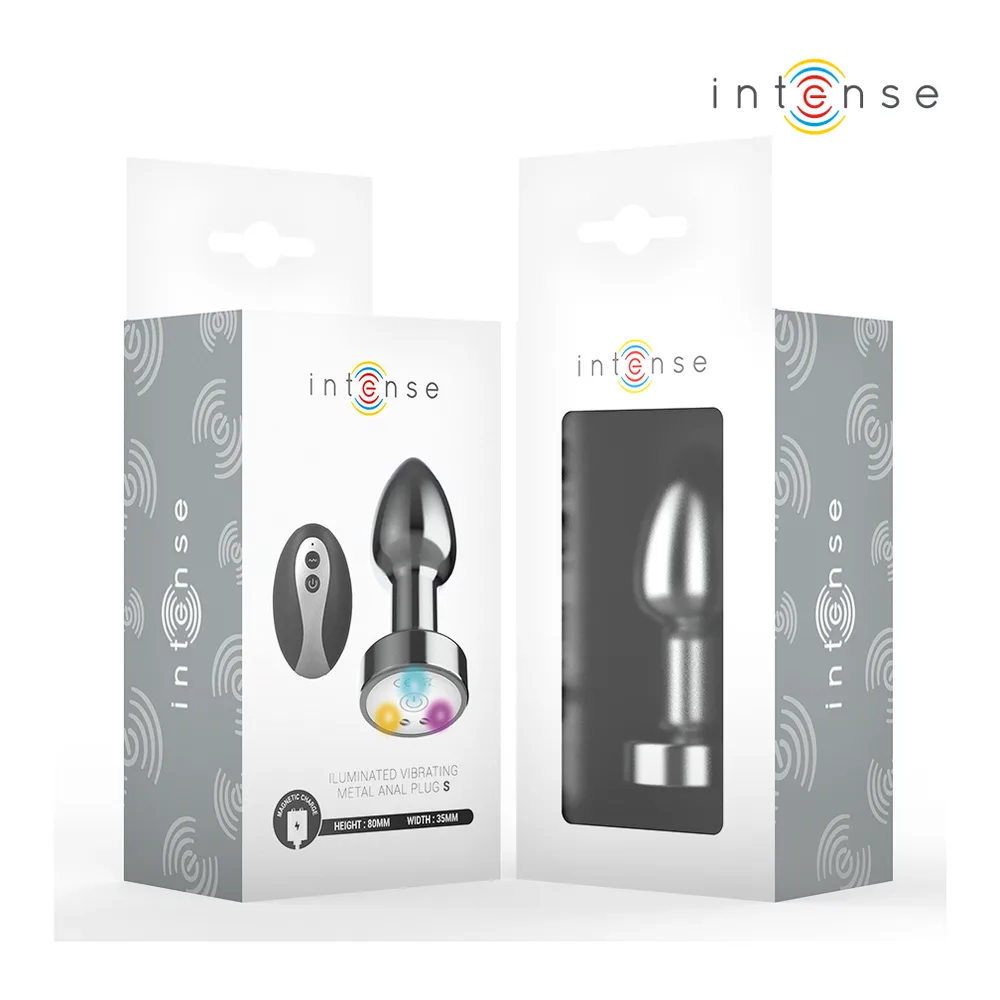Plug Anal Vibrant Métal Intense - accessoires fournis